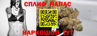 спайс Будённовск