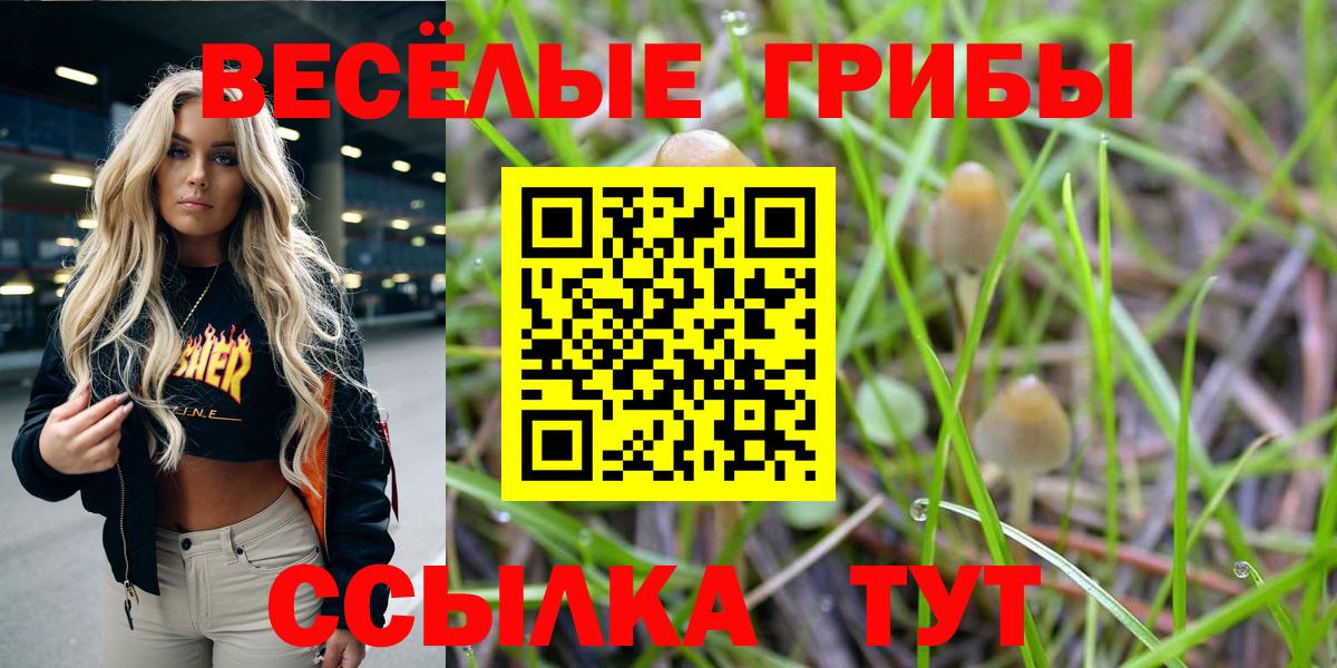 Галлюциногенные грибы Cubensis  Вход с VPN  Балаково  Псилоцибиновые грибы Magic Shrooms 